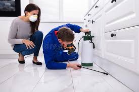 Real Estate Pest Inspections in Saratoga, CA